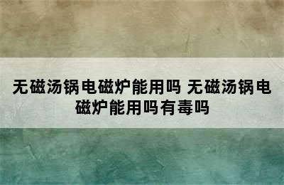 无磁汤锅电磁炉能用吗 无磁汤锅电磁炉能用吗有毒吗